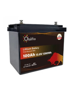 Batería Litio LiFePO4 12V 100Ah PRO Bluetooth | Olalitio