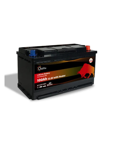 Batería Litio LiFePO4 12V 100Ah Bluetooth y BMS | Olalitio