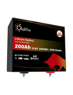 Batería Litio LiFePO4 12V 200Ah Bajo Asiento | Olalitio