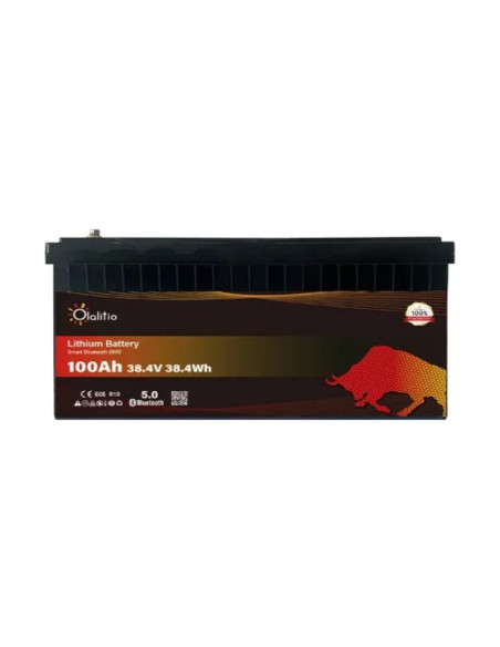 Batería Litio LiFePO4 12V 300Ah Bluetooth y Calefacción