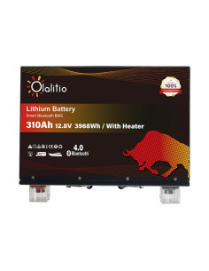 Batería Litio LiFePO4 12V 310Ah Bajo Asiento | Olalitio