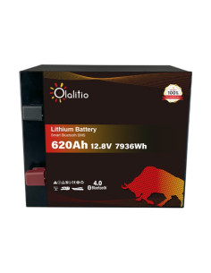 Batería Litio LiFePO4 12V 620Ah Bluetooth | Olalitio
