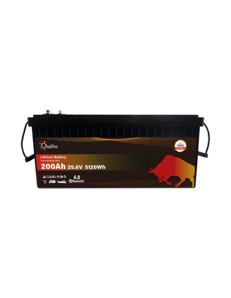 Batería Litio LiFePO4 24V 200Ah Bluetooth | Olalitio