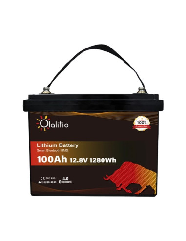 Batería Litio LiFePO4 36V 100Ah Bluetooth | Olalitio