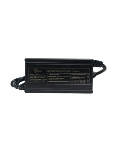 Cargador Litio 12V 10A LiFePO4 | Olalitio