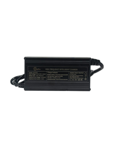 Cargador Litio 12V 10A LiFePO4 | Olalitio