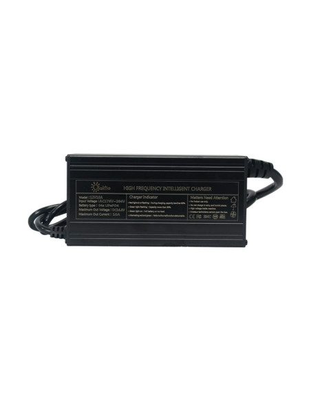Cargador Litio 12V 10A LiFePO4 | Olalitio