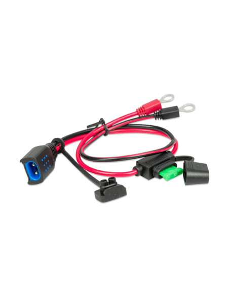 Conector de ojal M8 (con fusible ATO 30A) | Victron Energy