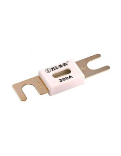 Fusible ANL 300A/80V (paquete de 5) | Victron Energy