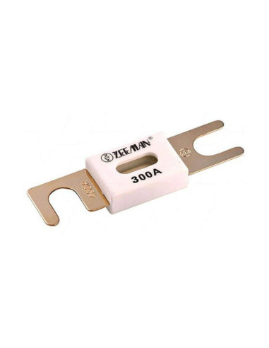 Fusible ANL 300A/80V (paquete de 5) | Victron Energy