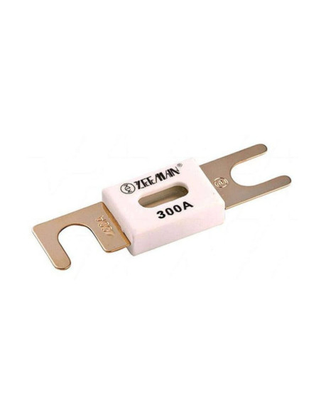 Fusible ANL 300A/80V (paquete de 5) | Victron Energy