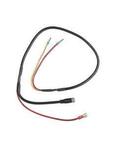 Cable de control de alternador VE.Bus BMS a BMS 12-200 | Victron Energy