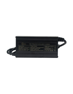 Cargador Litio 24V 20A LiFePO4 | Olalitio